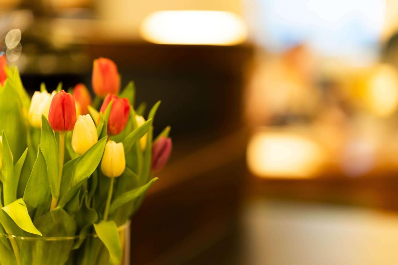 Logis Hotel Quartier 5, Saechsische Schweiz, Mit Restaurant, Cafe & Bar Kurort Gohrisch Dış mekan fotoğraf